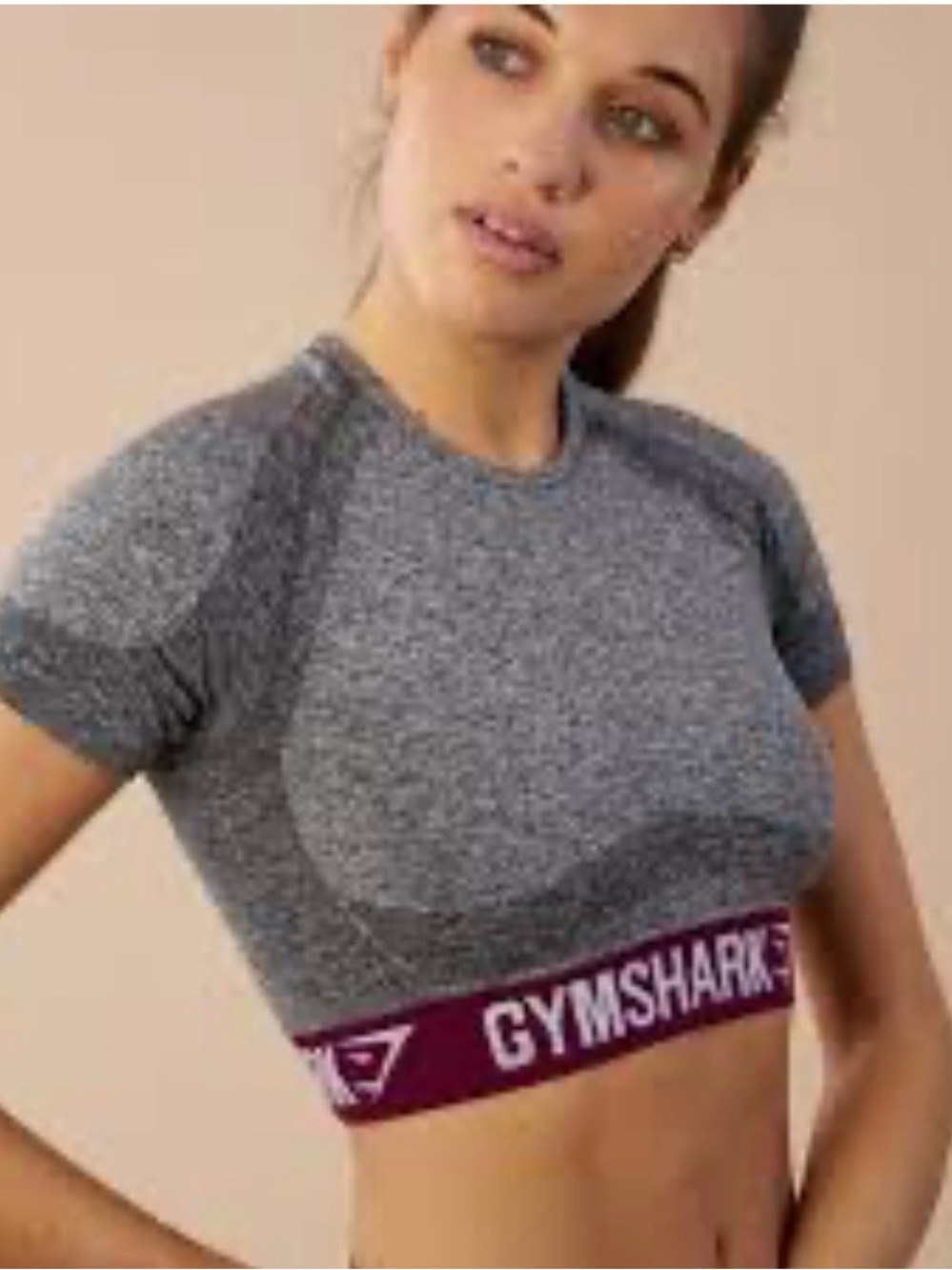 Gymshark Flex Short Sleeve Crop Top Sz Small EUC